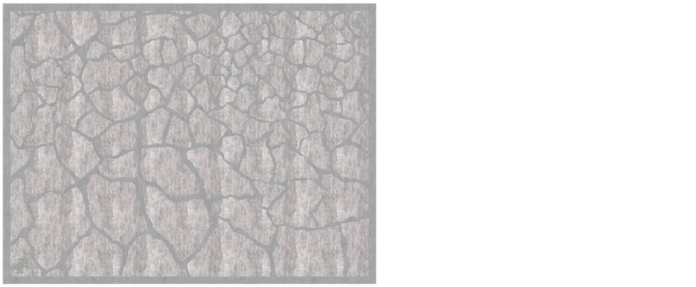 RCHI_UMA_rug_C.UMA.571.BGI-D3X2.jpg