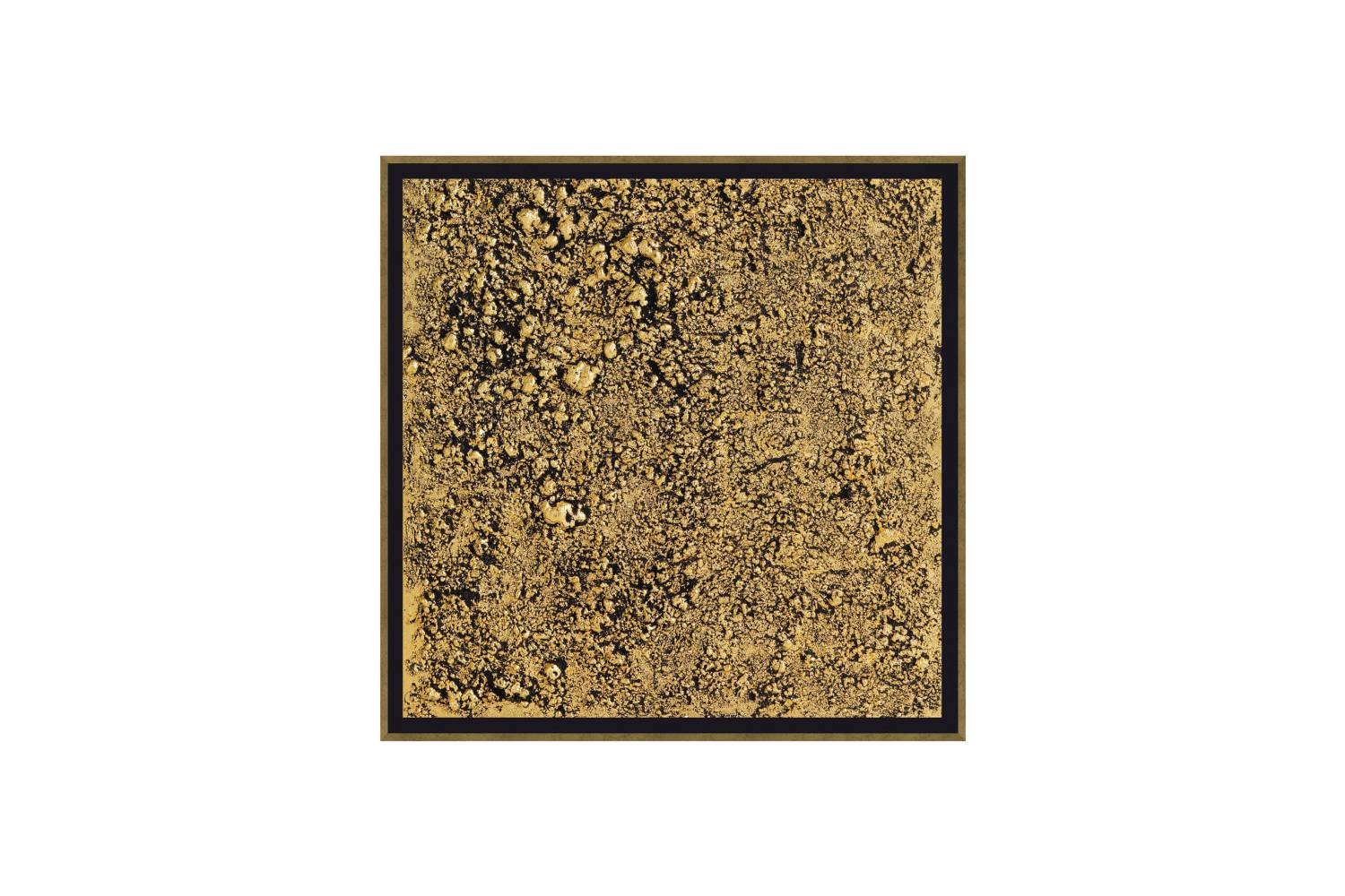 WOOL - painting | Roberto Cavalli Home Interiors