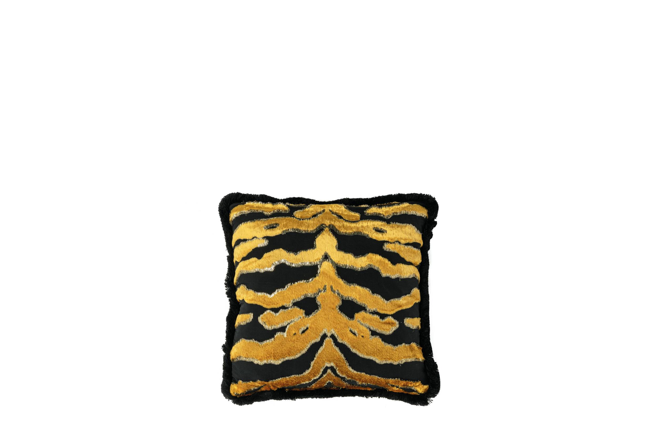RCHI_WONDERS-OF-NATURE-CUSHION_cushion_C.WON.811.CI2_01b.jpg