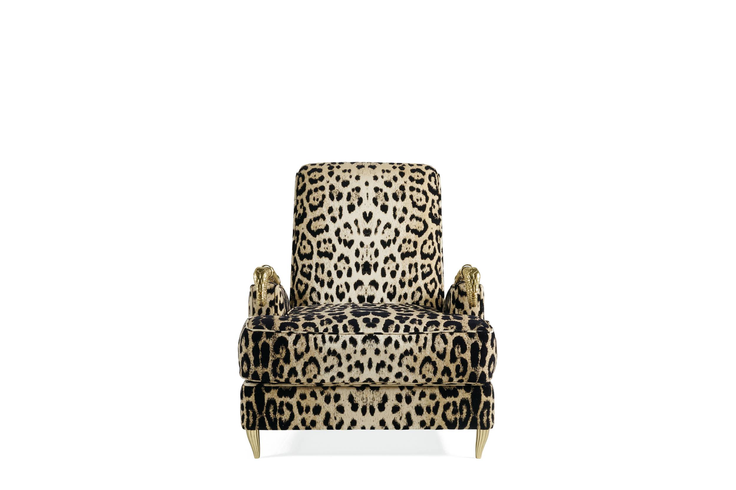 RCHI_SNAKE.2_armchair_C.C.SN2.221.AHX_01.jpg