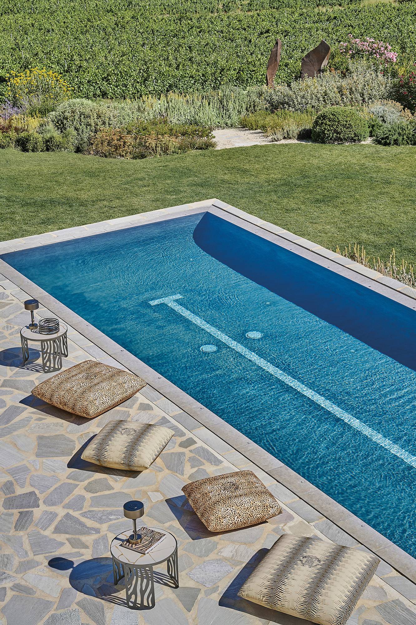 RCHI_2025_Savage-Serenity_image_00121