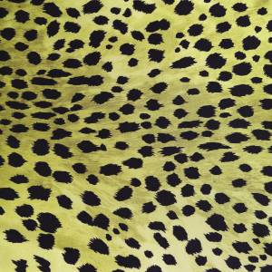 RCHI_SILK-SATIN-RC_HALLE_CAT.B_COL.YELLOW.jpg