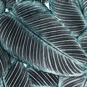RCHI_SILK-SATIN-RC_PENELOPE_CAT.B_COL.TEAL.jpg