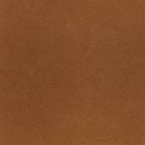 RCHI_PLAIN-LEATHERS_NABUK_CAT.B_COL.ORANGE.jpg