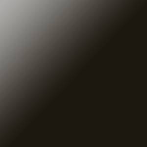 RCHI_GLASS_DARK-BROWN-LACQUERED-GLASS.jpg
