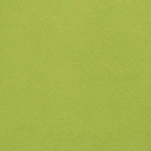 RCHI_PLAIN-LEATHERS_SAUVAGE_CAT.A_COL.PISTACHE.jpg