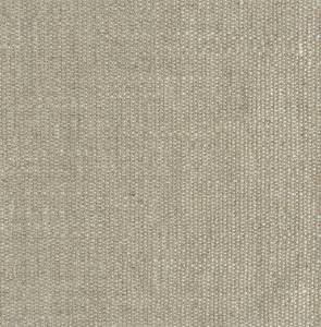 RCHI_CANVAS_CLAUDIA_CAT.A_COL.RAW-DIAMOND.jpg
