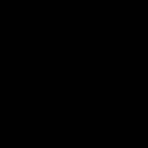 RCHI_WOOD_MULTILAYER-WOOD_BLACK-LACQUERED.jpg