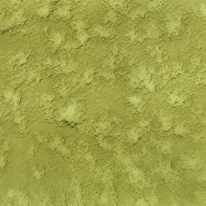 RCHI_GLASS_GREEN-CATHEDRAL-GLASS.jpg
