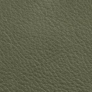 RCHI_PLAIN-LEATHERS_FLORIDA_CAT.A_COL.GREEN.jpg