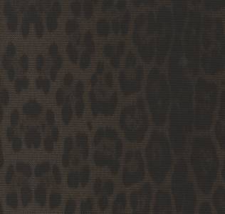 RCHI_CANVAS-RC_AUDREY_CAT.A_COL.CHOCOLATE.jpg