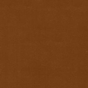 RCHI_VELVET_PAUL_CAT.A_COL.403-ORANGE.jpg