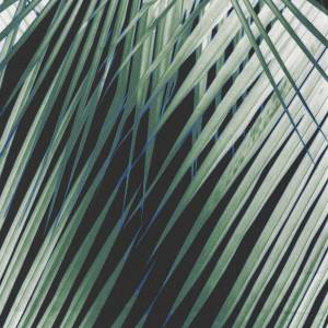 RCHI_SILK-SATIN-RC_CHARLIZE_CAT.B_COL.3.jpg