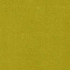 RCHI_VELVET_PAUL_CAT.A_COL.404-CITRON.jpg