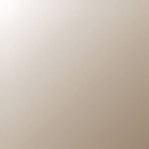 RCHI_GLASS_BRONZED-GLASS.jpg
