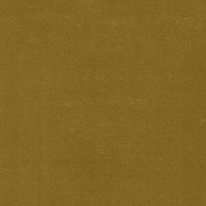 RCHI_VELVET_PAUL_CAT.A_COL.413-GOLD.jpg