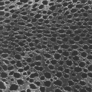 RCHI_JACQUARD_HALLE_CAT.B_COL.GREY.jpg