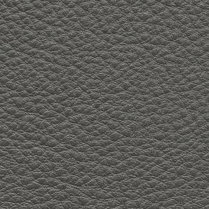 RCHI_PLAIN-LEATHERS_GLEAM_CAT.A_COL.11-SHADE.jpg
