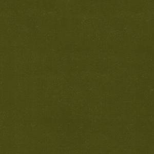 RCHI_VELVET_PAUL_CAT.A_COL.424-GREEN.jpg