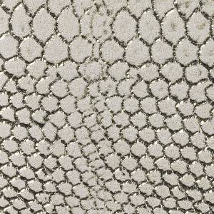 RCHI_SPECIAL-LEATHERS_CRAZY_CAT.B_COL.GOLD.jpg