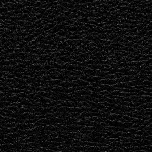RCHI_PLAIN-LEATHERS_GLEAM_CAT.A_COL.27-BLACK.jpg