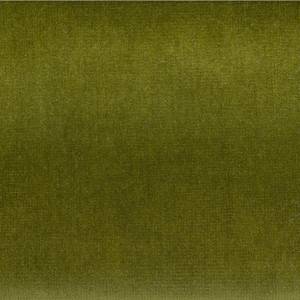 RCHI_VELVET_MARK_CAT.A_COL.GREEN.jpg