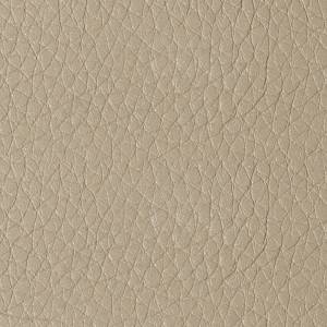 RCHI_PLAIN-LEATHERS_TOUCH_CAT.B_COL.TORTORA.jpg